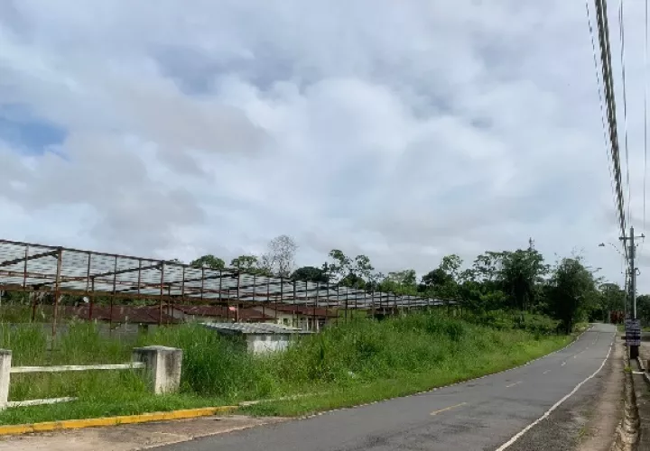 Las primeras inspecciones se han realizado en el corregimiento de Juan Demóstenes de Arosemena en donde se ubican varios lotes abandonados. Foto. Eric Montenegro