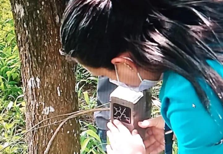 Se colocaron cámaras para tratar de evidenciar la presencia del felino.Foto: Thays Domínguez