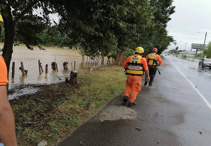 Las cámaras se ubicarán cerca de áreas vulnerables. Foto. Sinaproc