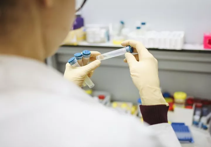 El Henipavirus es una de las principales causas emergentes del salto de enfermedades animales a humanos. Foto: Pexels