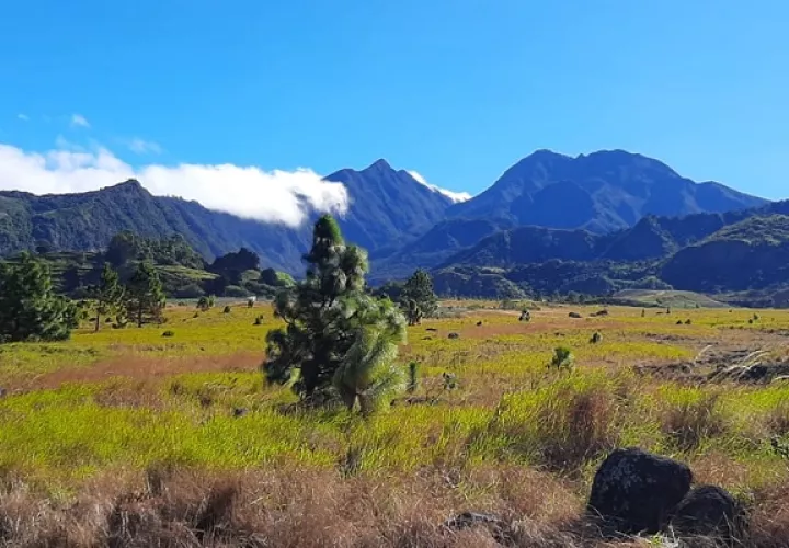 Vista del Parque Nacional Volcán Barú. Foto: MiAmbiente