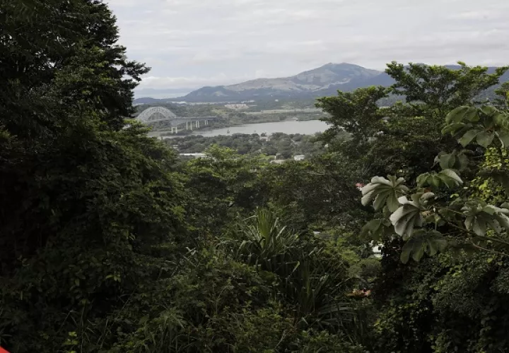 Vista panorámica desde la cima del Cerro Ancón. Foto: MiAmbiente 
