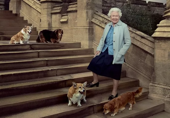 La reina Isabel II adoraba a los animales.