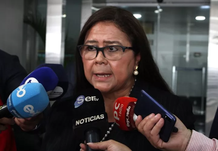 Iris González de Valenzuela, secretaria ejecutiva de Senadis, confía en que el Gobierno acoja la recomendación que realizará la Asamblea para que el presupuesto de la entidad sea aumentado. Foto: Víctor Arosemena
