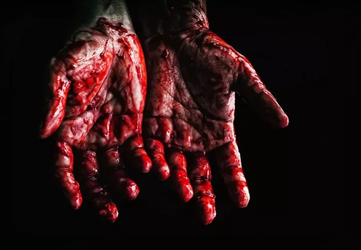 79 personas menos han perdido la vida en 2022, comparado con 2021. Foto: Pexels