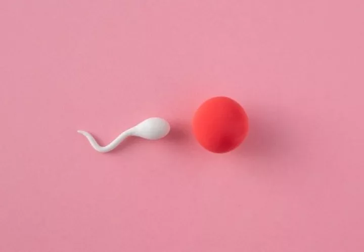 La sífilis  está entre las ITS que más impactan la salud sexual y reproductiva de los panameños. Foto. Ilustrativa / Freepik