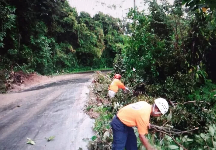 En la región las lluvias crecieron los afluentes y vientos tumbaron árboles. Foto: Eric A. Montenegro