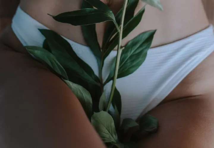 'La vagina no se ensucia y ni almacena suciedad', dice la especialista. Foto: Pexels