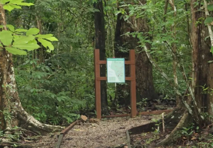 El parque Metropolitano ofrece conexión total con la naturaleza.