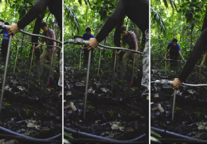 El sistema de calefacción subterráneo  está instalado en las parcelas forestales en Isla Barro Colorado. Foto: Smithsonian