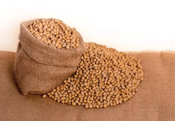 Proteína de soya. Foto: Pixabay
