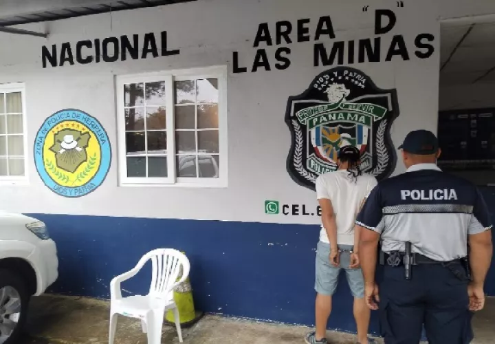 José Luis Rodríguez, alias “El Puma”, fue capturado durante un operativo en bares y cantinas. Foto. Proteger y Servir
