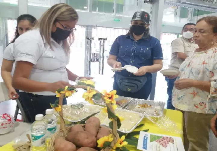 Los productores han manifestado que esta variedad da buenos resultados por hectárea, es resistente a plagas y de muy buen sabor. Foto. Thays Domínguez