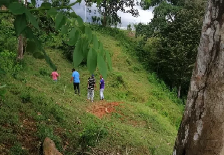 Solicitaron la autorización del dueño para finca para poder realizar la inspección correspondiente. Foto. Diomedes Sánchez
