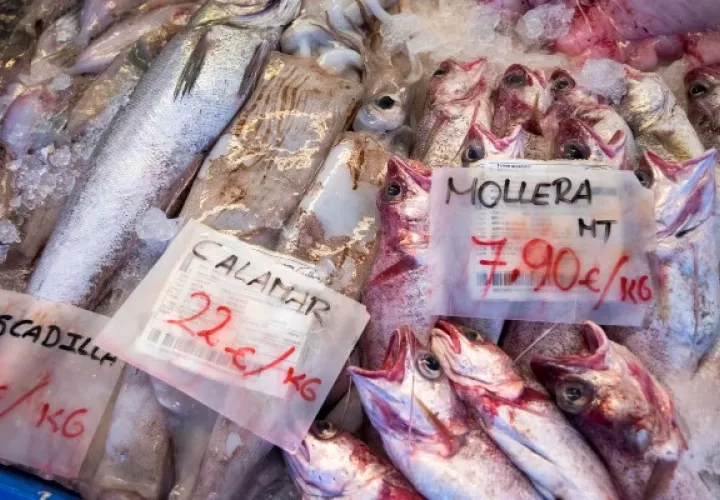 Más hambre por sequía y conflictos. Foto: EFE