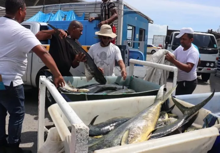 Los productos decomisados serán donados al Despacho de la Primera Dama. Foto: Cortesía ARAP