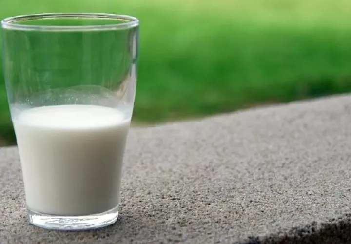 La leche se puede consumir en cualquier etapa de la vida.