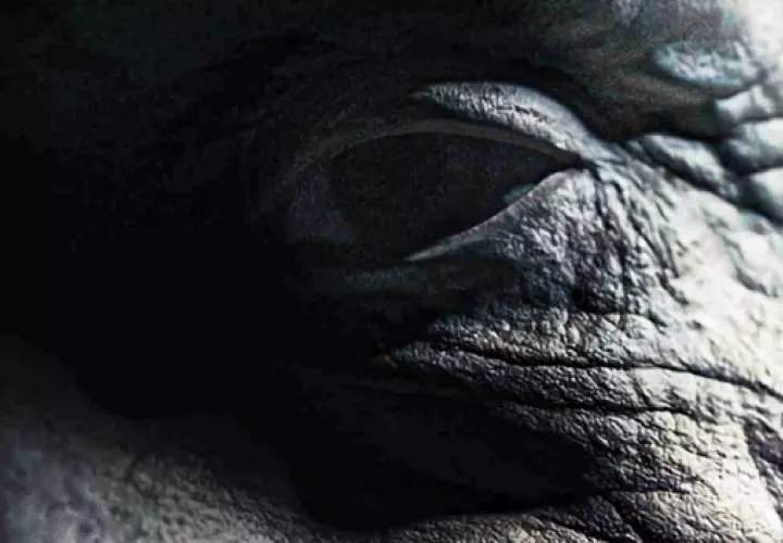 'Los ancianos' se estrenará este mes. Foto: Netflix