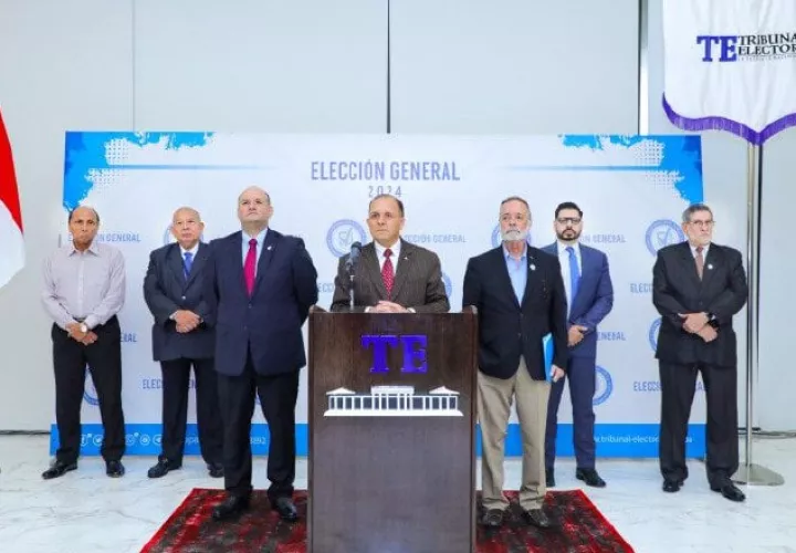 El Tribunal culpa a los activistas y los precandidatos consideran que el TE no ha cumplido su función.