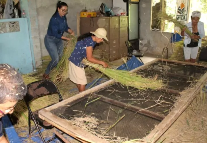 Muchas familias de la comunidad obtendrán alimentos necesarios con este programa. Foto / MIDA. 