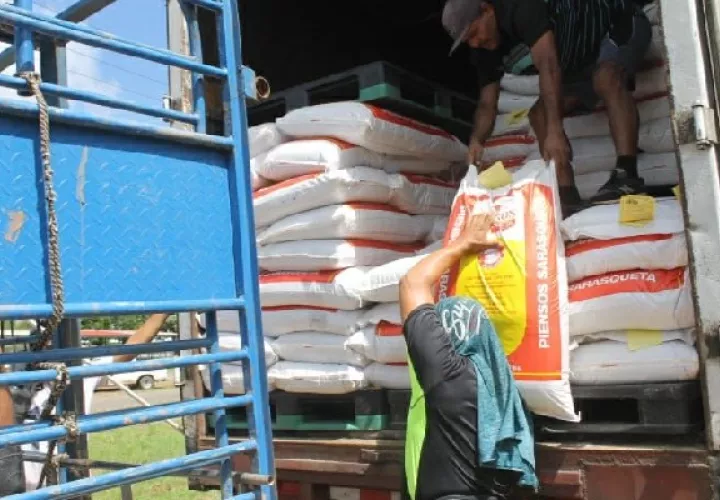 Entregaron 500 quintales de alimento para cerdos a los productores afectados, principalmente en La Villa de Los Santos. Foto. Thays Domínguez