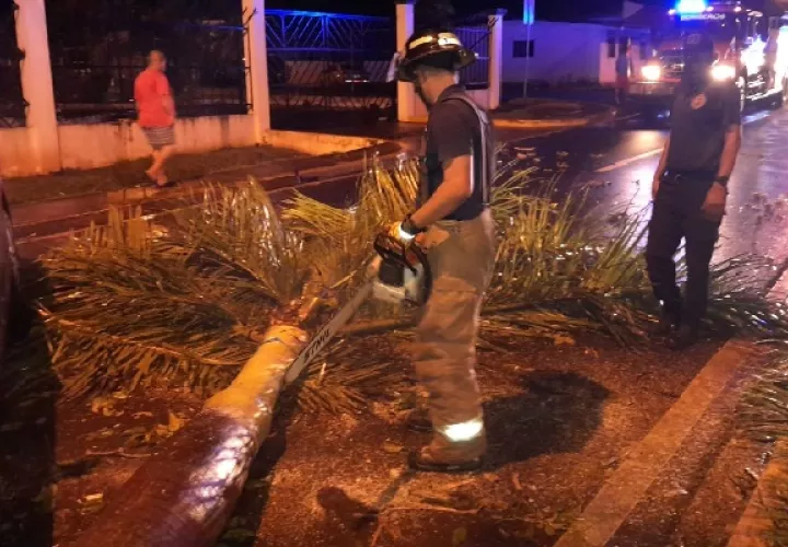 El hecho se dio la madrugada del domingo, en medio de la lluvia que caía desde hacía varias horas en la región. Foto. Thays Domínguez