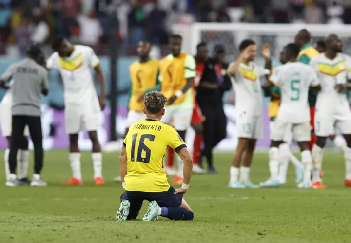 Ecuador  con gran Mundial se quedó ante Senegal. Foto:EFE