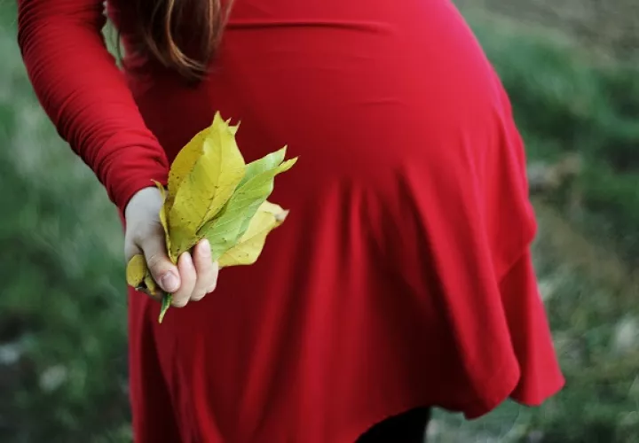 La ley dirige la atención a las mujeres embarazadas en específico. Foto: Pexels
