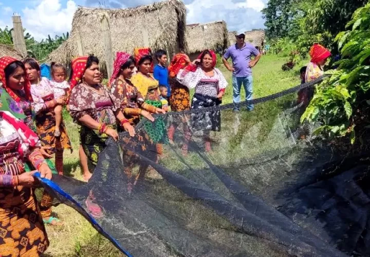 Se orienta a los productores a mejorar las cosechas usando técnicas amigables con el ambiente. Foto / Diómedes Sánchez.