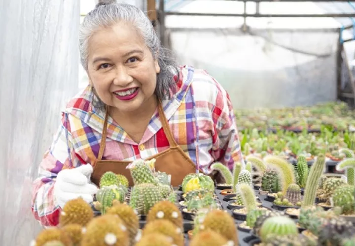 Las mujeres lideran el mercado en Panamá, Colón y en las provincias occidentales. Foto: Ilustrativa / Freepik