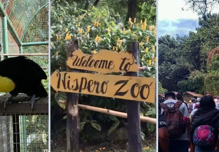 Tras la noticia muchos han comentado que la decisión se comprende. Foto: @nisperozoo