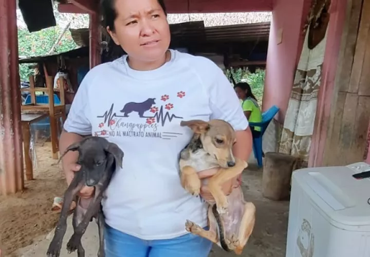 Juliette Chang durante las jornadas de ayuda a los perros del campo. Foto: Cortesía