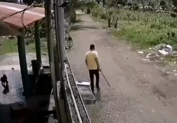El hecho fue captado por la cámara de seguridad de una vivienda. 