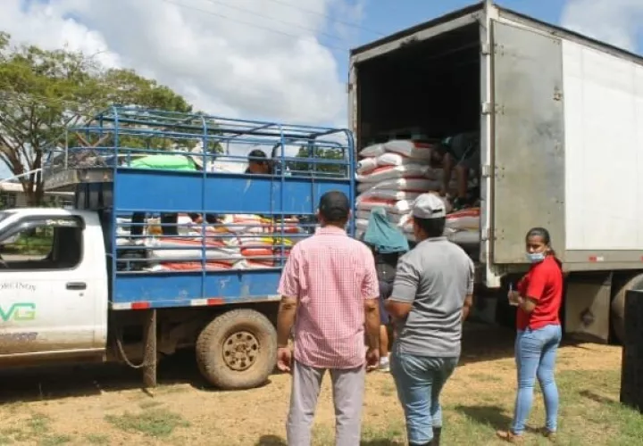 La respuesta alcanza a 14 productores de la comunidad La Porqueriza, ubicada en el corregimiento de La Villa de Los Santos. Foto: Cortesía
