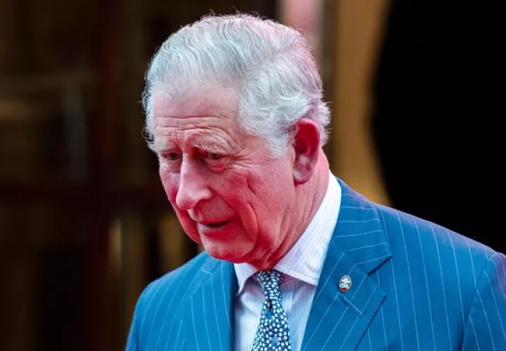 El rey Carlos III. EFE