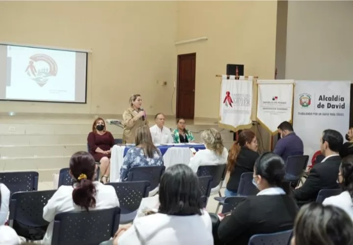 La capacitación se desarrolló en la Escuela Municipal de Bellas Artes de David. Foto: Mayra Madrid