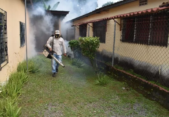 El último informe indica que la semana pasada el índice de infestación del mosquito aedes aegypti fue elevado en los corregimientos de Las Lajas y en el sector de Elisa Chiari de David era del 4.8%. Foto. Mayra Madrid