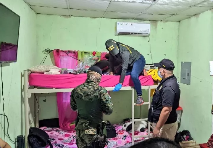 Los operativos se efectuaron en Bugaba, David, Puerto Armuelles, Gualaca. Foto. PGN,