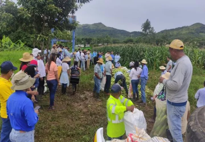 2,500 jóvenes participan del verano complementario atendidos por 204 profesores de la especialidad agropecuaria.