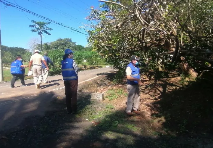 A la fecha se han confirmado 3 defunciones por hantavirus, una en Herrera y dos en Veraguas. Foto. Thays Domínguez