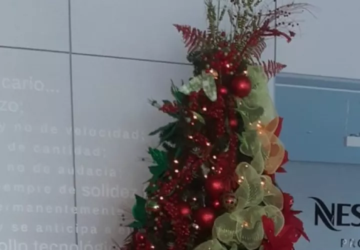 El verde limón y el verde menta están entre los tonos más cotizados. Foto: decoracionesgeneralesfc