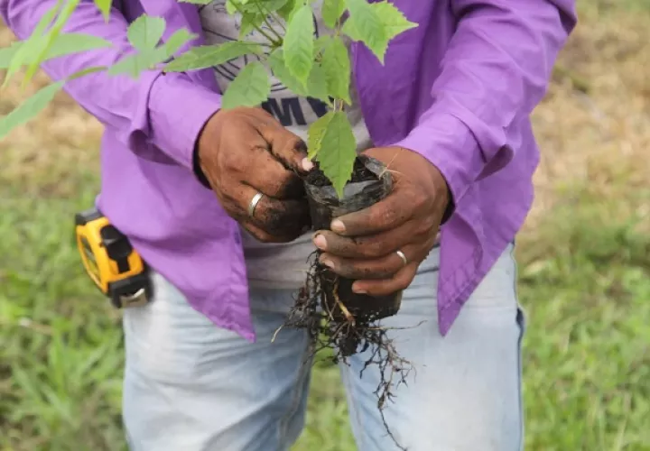 Minera Panamá impulsa variados proyectos en las zonas aledañas. Foto: Cortesía