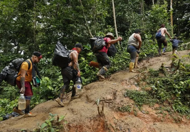 El Darién es una selva protegida, advierte canciller panameña. Foto: EFE