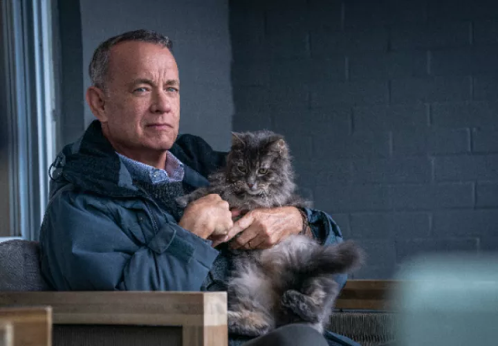 Tom Hanks, como Otto Anderson, durante una escena de la comedia 'A man called Otto'. Foto:  EFE / Tavernise / Sony Pictures