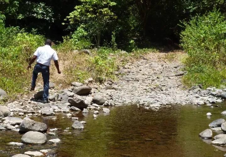 El propietario de la yegua, pide que se le pague su animal, mientras que otras personas han informado de otros hechos en La Honda. Foto. Melquíades Vásquez