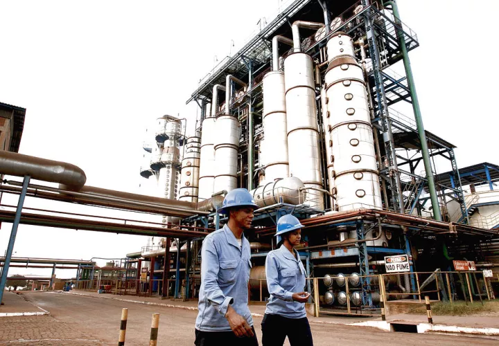 El cierre de la única empresa que producía el biocombustible dejó a 1,800 familias sin sustento. Foto: Archivo