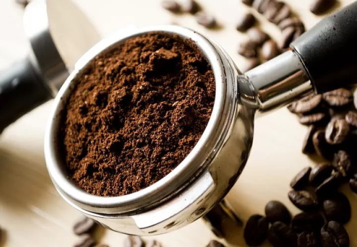 El grano del café Geisha sigue estando entre los más cotizados del mundo. Foto ilustrativa