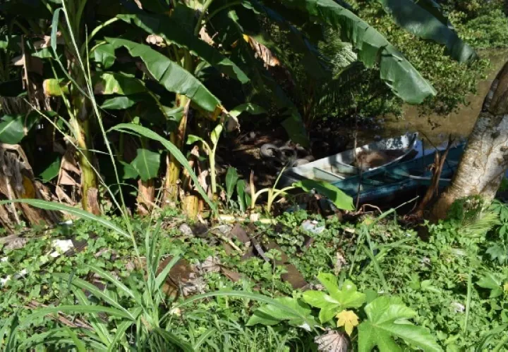 Patricio Camarena, jefe del departamento de vectores del Minsa, dijo que el año pasado hubo 233 casos de dengue en Chiriquí. Foto. José Vásquez