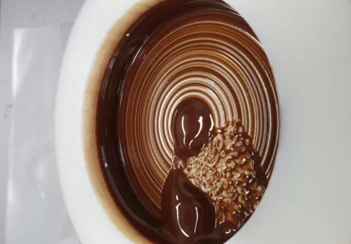 Escuela de Ciencias de la Alimentación y Nutrición de Leeds (Reino Unido) hace descubrimientos sobre el chocolate. Foto: EFE