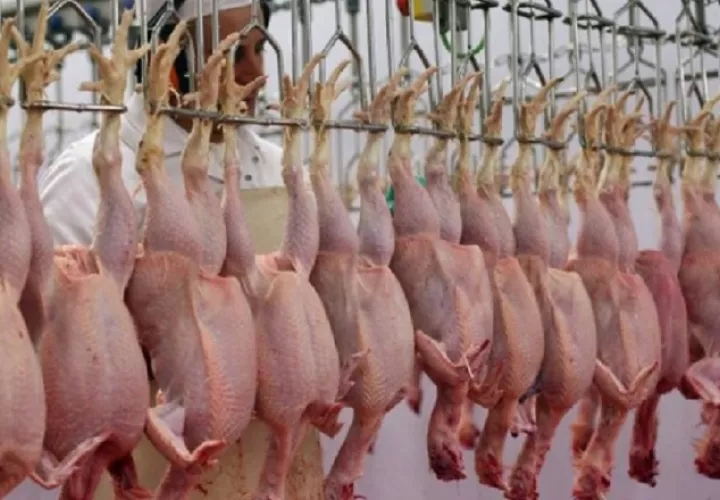 Las proyecciones internacionales indican que el consumo de pollo podría aumentar a nivel mundial.
